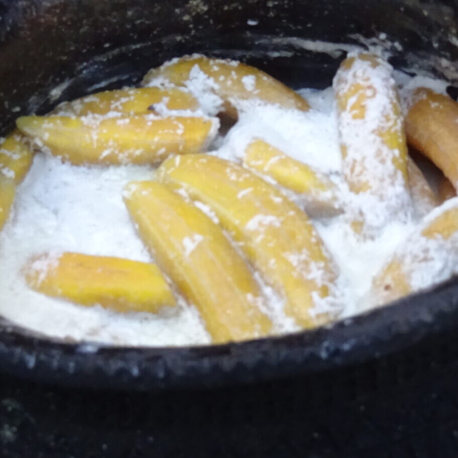 Crops Research in Papua New Guinea